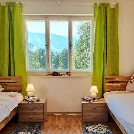 Strasser'S Mountain Home Ramsau am Dachstein Extérieur photo